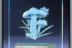 "Mushrooms" Glass Award